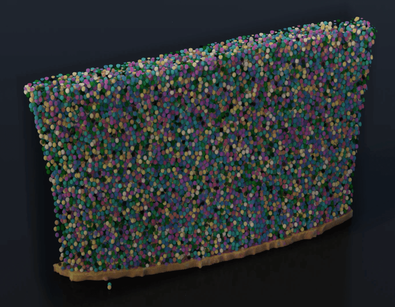 Serial Block-Face SEM for Life Science