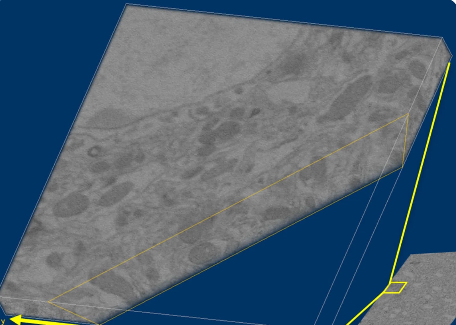 Ultrathin SBF-SEM Sectioning Consistency & Image Quality