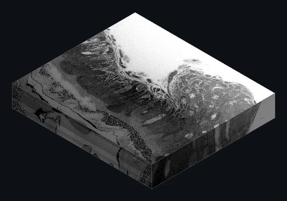 The mid-scale block rendered as a solid