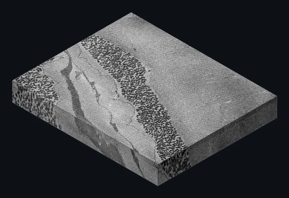 The registered high-resolution sub-volume as a solid block