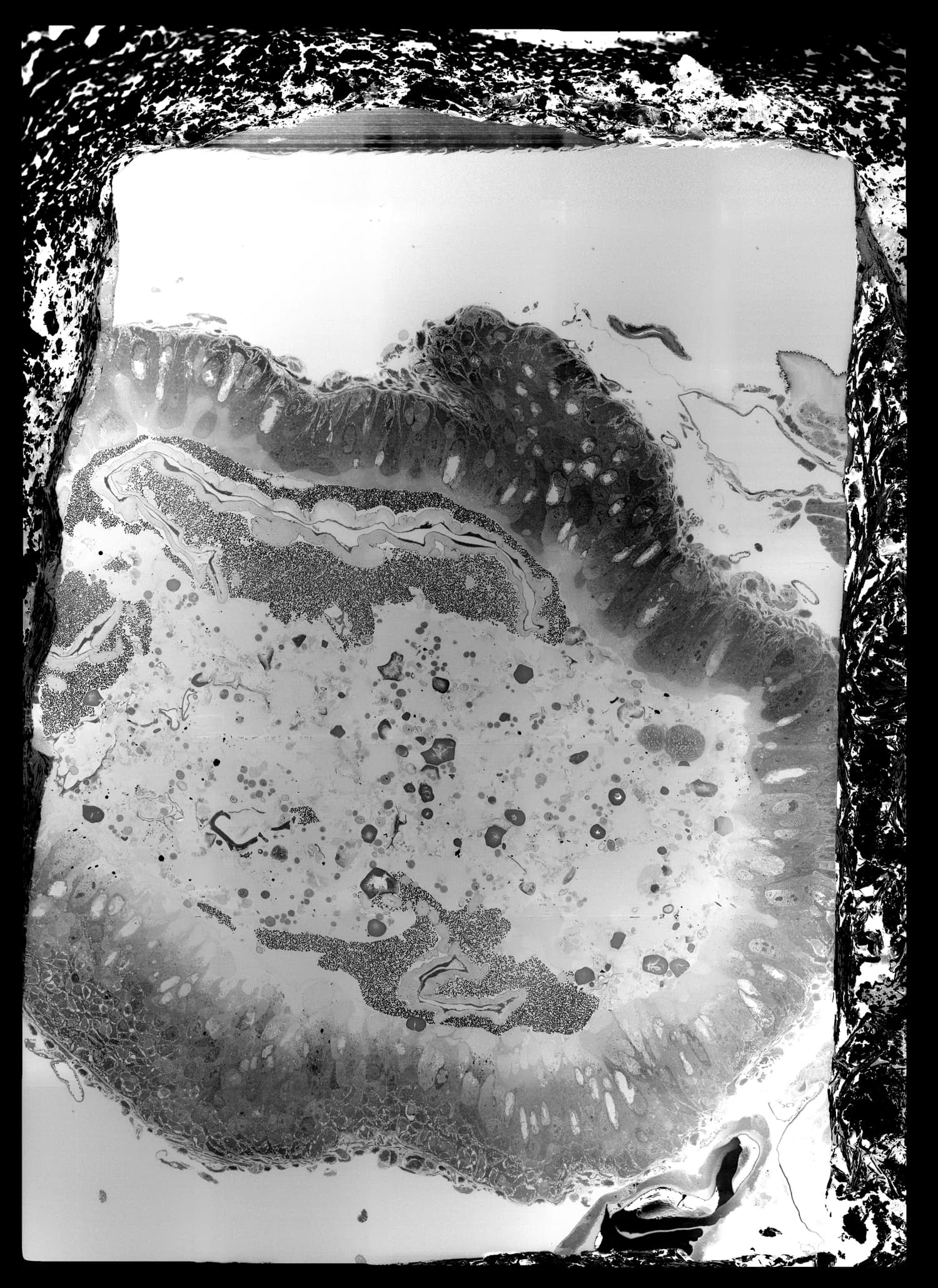 Corrected mosaic at cycle 160