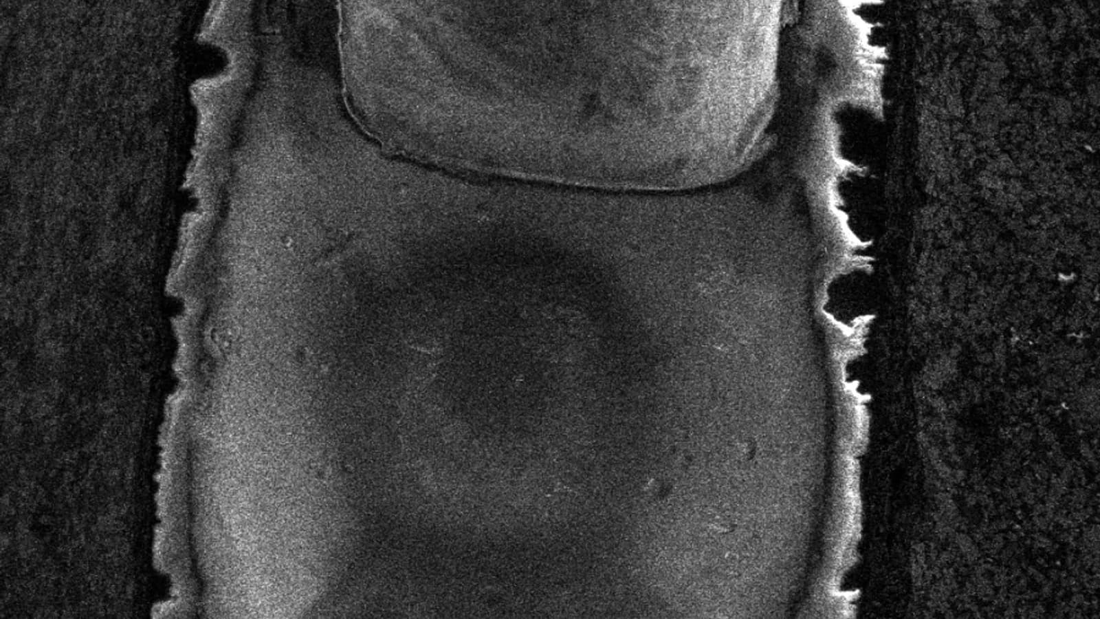 Six and a Half Days Without Charging: Precision Charge Neutralisation Across a 169-Gigavoxel Volume