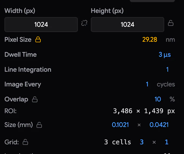 ROI Settings のパラメーター用の南京錠アイコン。ロックされた値は琥珀色で表示されます。